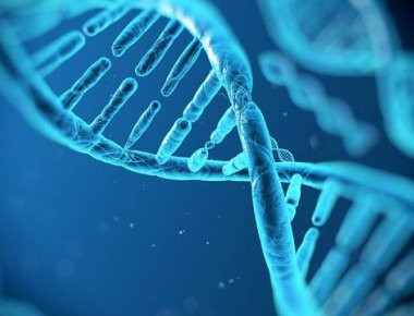 Ανακάλυψαν προϊστορικό DNA χωρίς να χρειαστούν οστά, επιστήμονες από τη Γερμανία